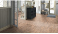 Виниловая плитка (клеевая) Tarkett Lounge Woody
