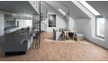 Виниловая плитка (клеевая) Tarkett Lounge Woody