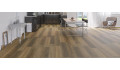 Виниловая плитка (замковая) FirmFit Discovery EW-2408 Тейде